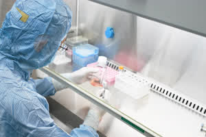 公司图片 9