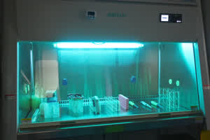 公司图片 19